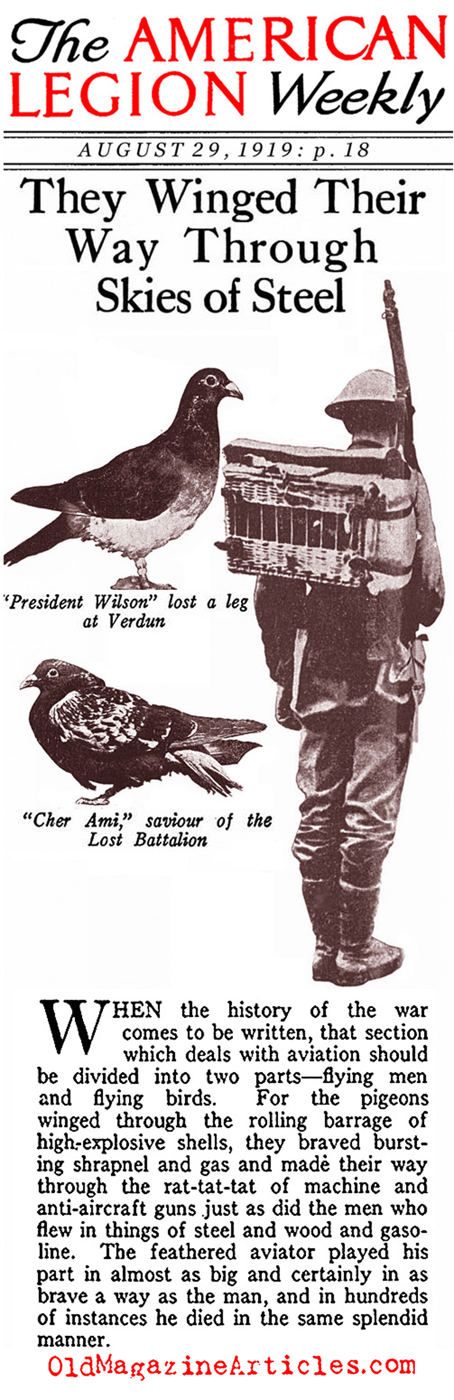 Carrier Pigeons of the US Army Signal Corps  (American Legion Weekly, 1919)
