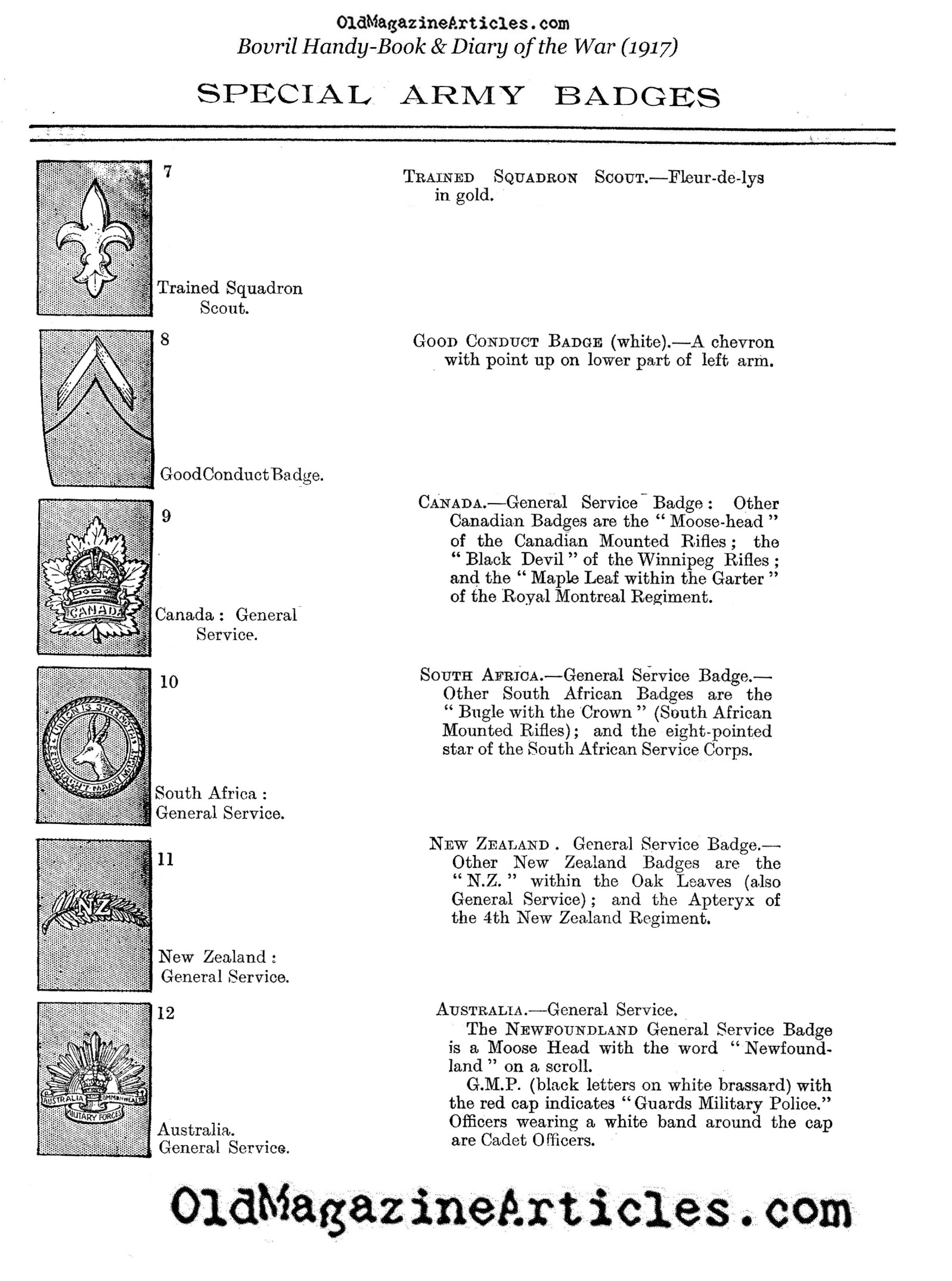 British and Commonwealth Insignia