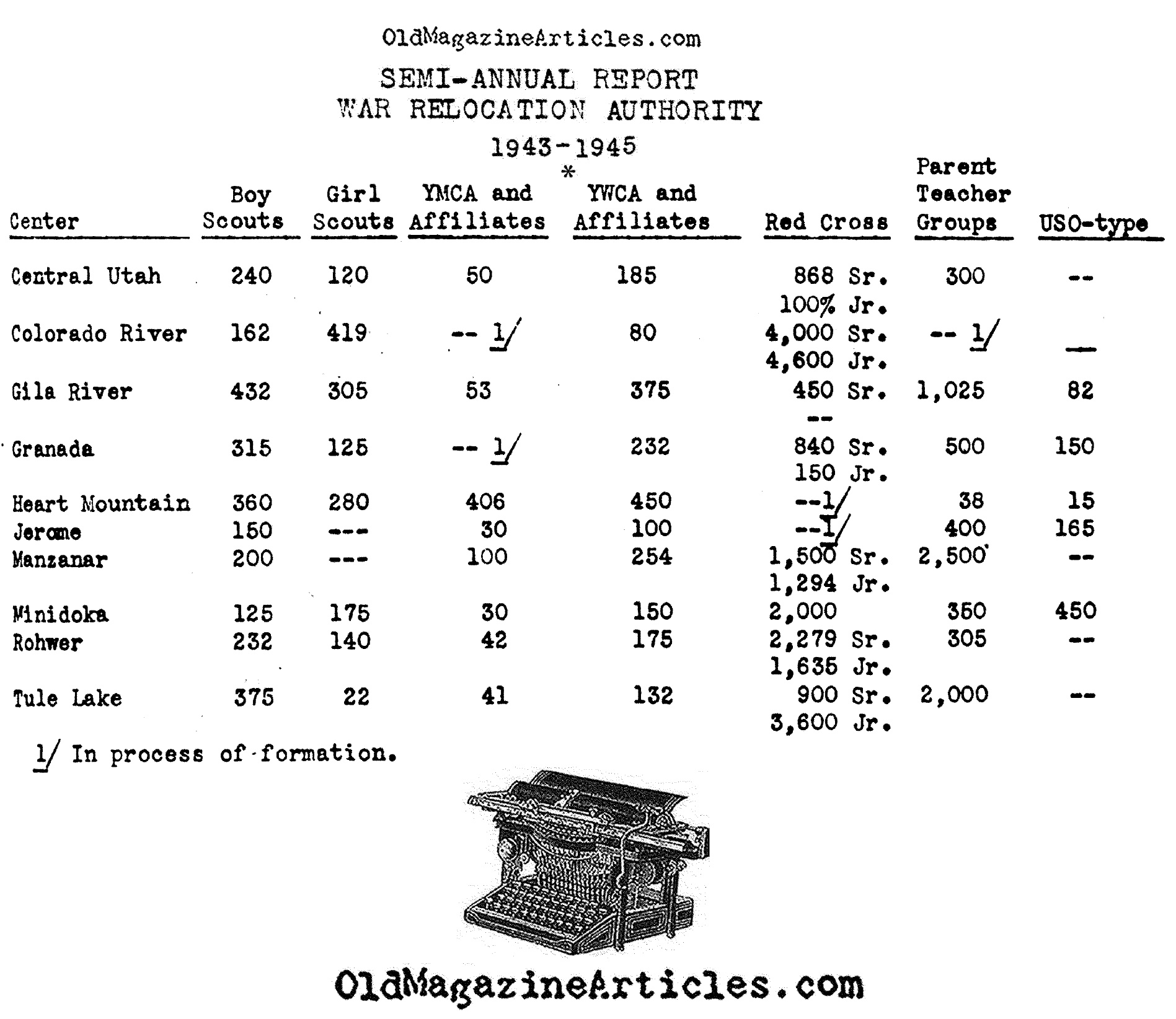 Social Groups Within the Internment Camps