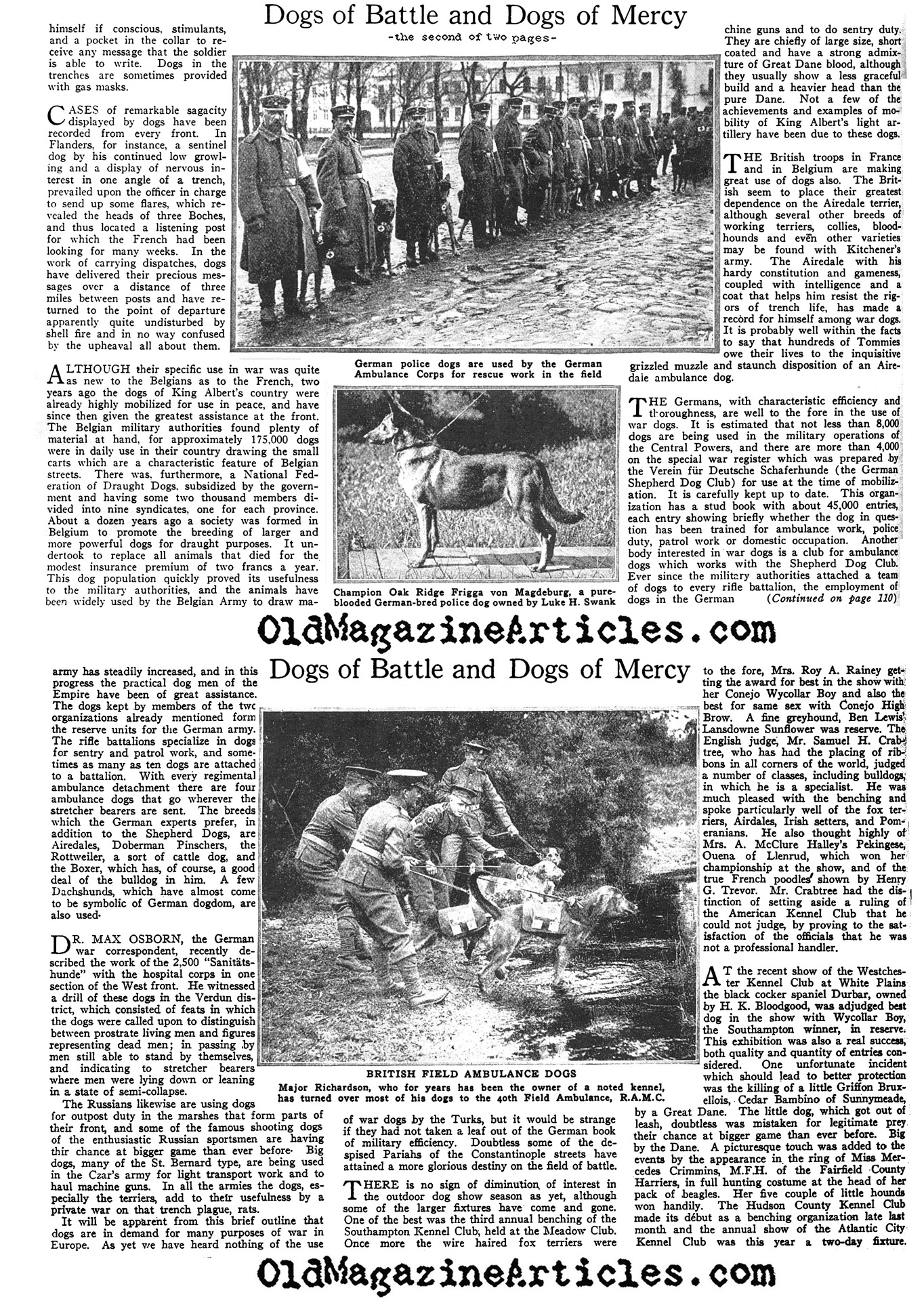 Dogs on the Western Front