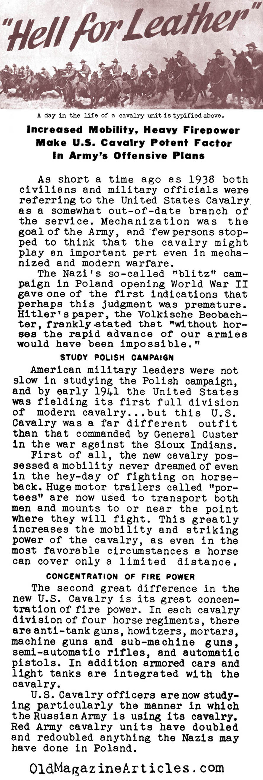 U.S. Cavalry During W.W. II