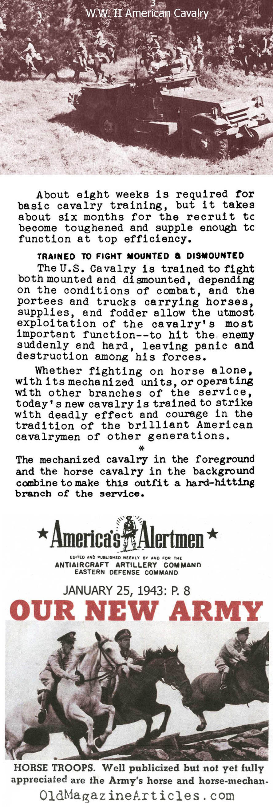 U.S. Cavalry During W.W. II