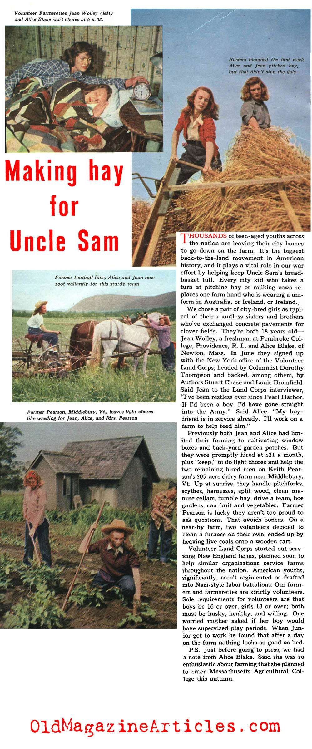 The Wartime Farm Workers