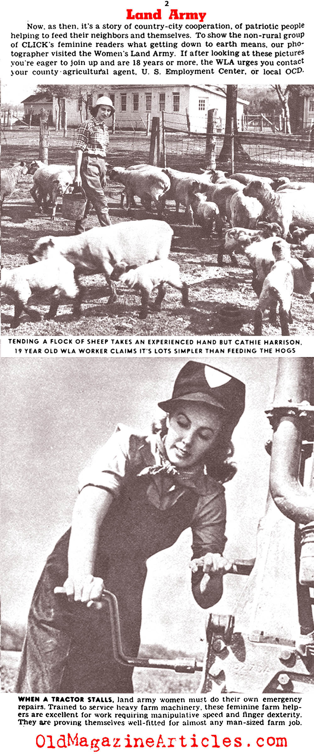 The Wartime Farm Workers