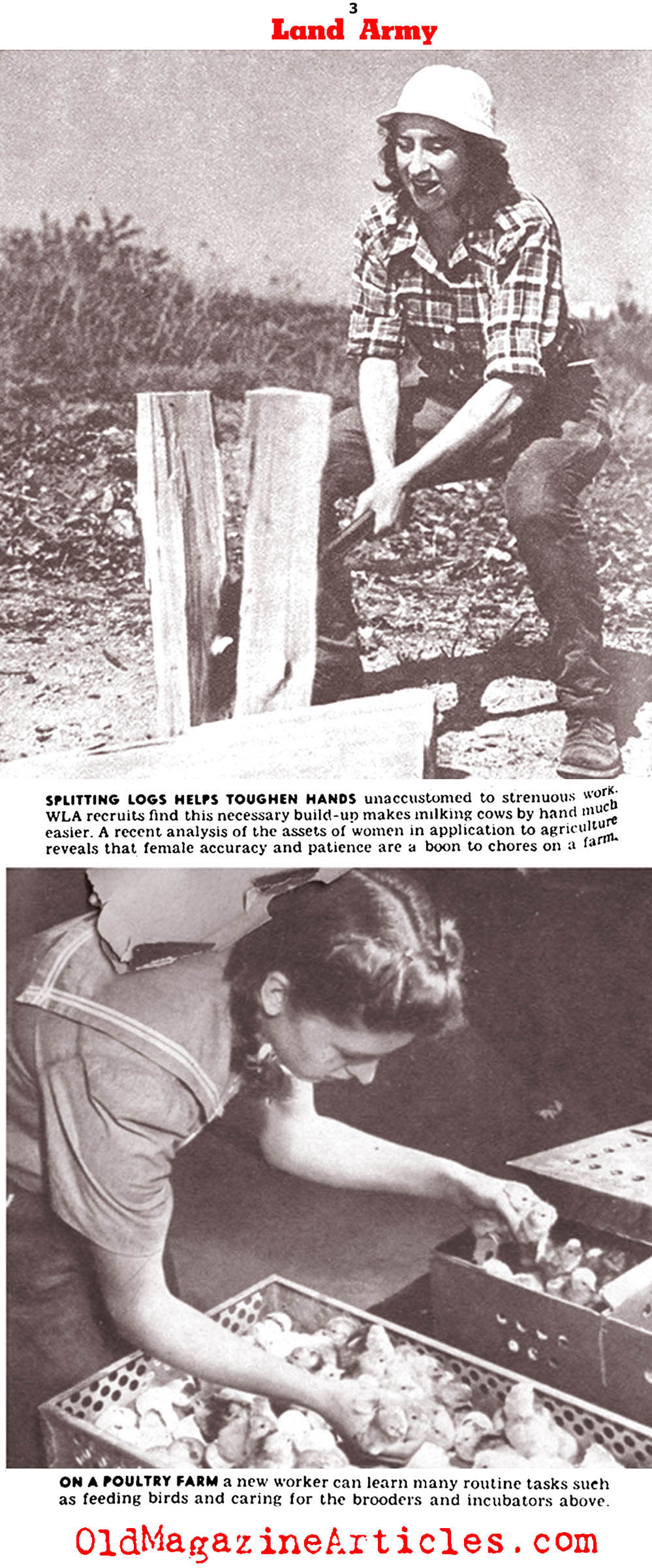 The Wartime Farm Workers