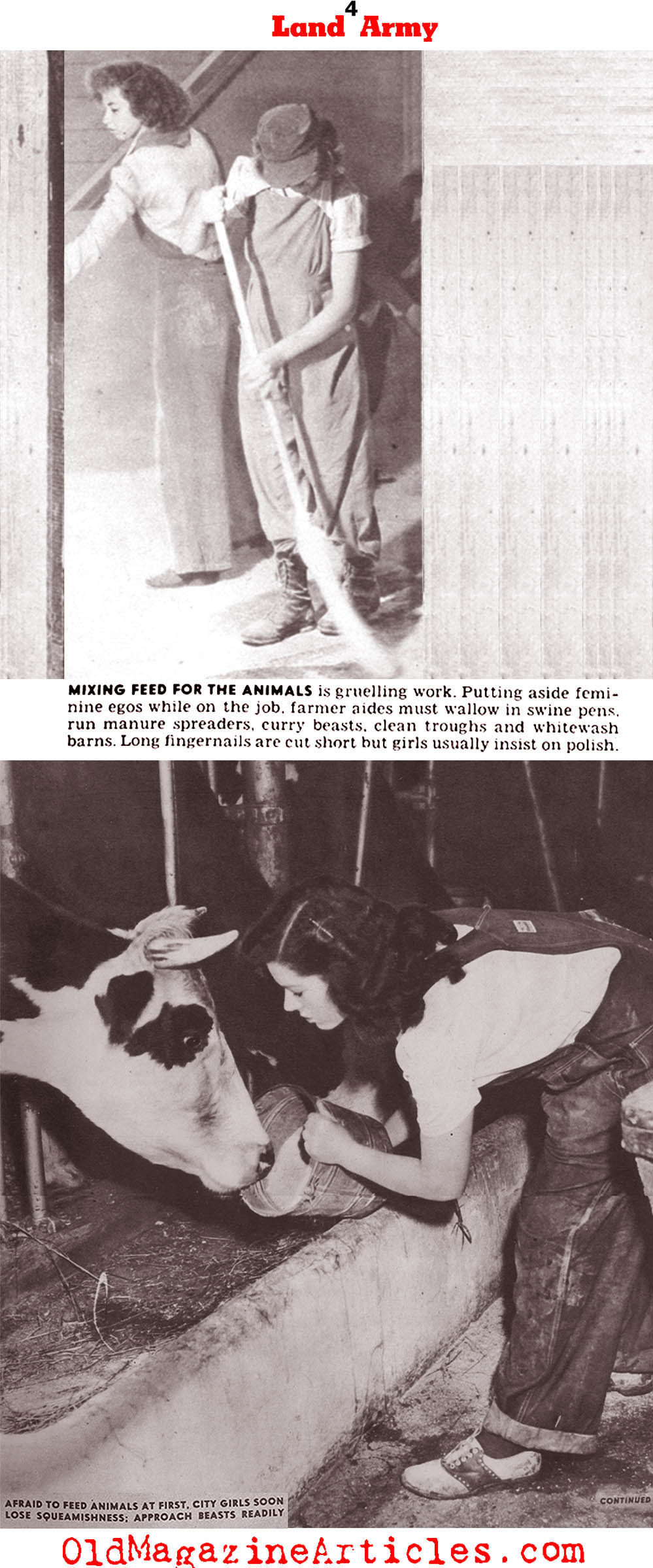 The Wartime Farm Workers