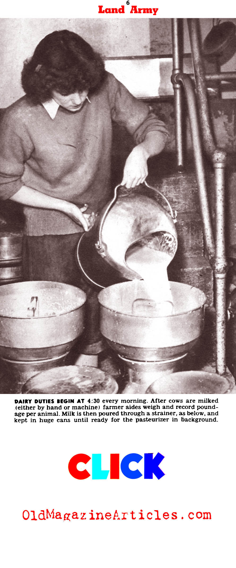 The Wartime Farm Workers
